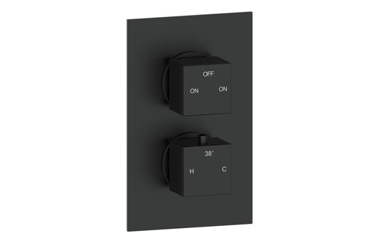 ZenMist Thermostatic Two Outlet Twin Shower Valve - Matt Black