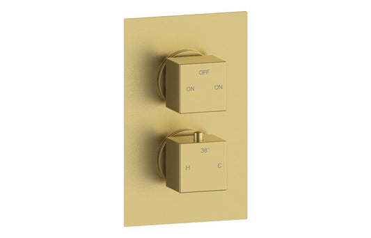 ZenMist Thermostatic Two Outlet Twin Shower Valve - Brushed Brass